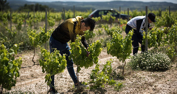 Tras cumbre, avanza ley de Biden para permisos de trabajo a migrantes