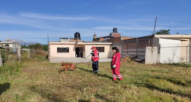 Comuna de San Andrés colabora en búsqueda de Samantha Escalona