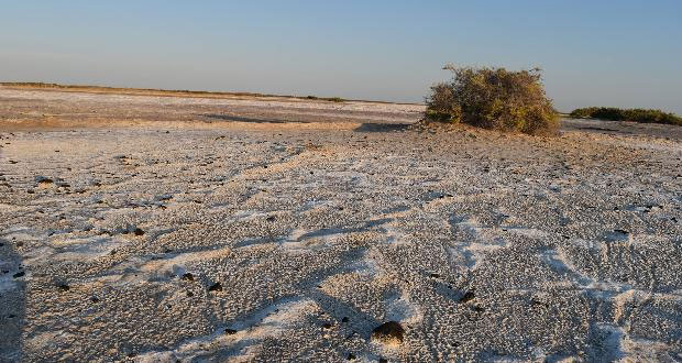 Reserva de la Biósfera El Pinacate y Gran Desierto de Altar, en Sonora. 