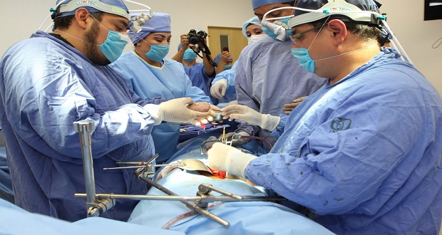 De abril a octubre de este año, IMSS trasplanta 97 riñones