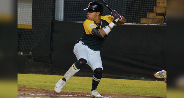 ¡Pericos, en la gran final del sur de la liga invernal!