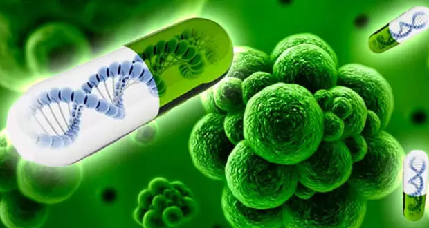 ¿Qué es la resistencia a antimicrobianos y por qué preocupa al mundo?