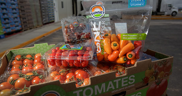 Balanza comercial agroalimentaria de México, con superávit de 5 mmdd
