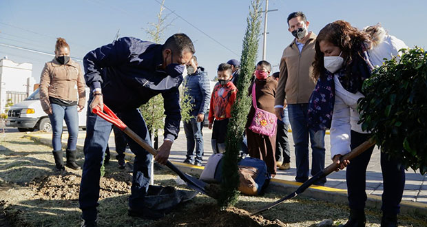 Comuna de San Andrés Cholula planta 800 árboles en Gobernadores