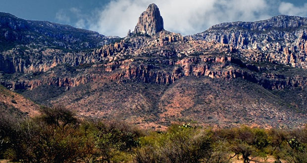 Con decreto, Federación protege mil especies en Sierra de San Miguelito 