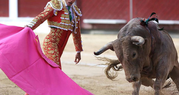 Corridas de toros, “una forma de maltrato animal”; piden frenarlas en Puebla