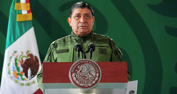 Ejército asegura más de 7 mil plantíos de amapola en Nayarit