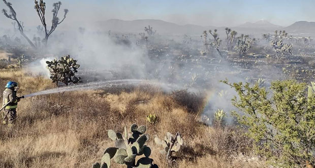 Incendio en reserva de Tehuacán deja 40 hectáreas afectadas
