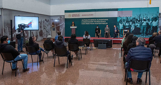 Reforma energética, ligada a autosuficiencia alimentaria: Agricultura