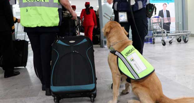 Si vienes a México, checa animales y productos puedes traer