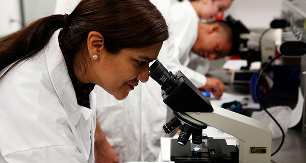 Aprueban 9,459 ingresos y ratificaciones en SNI; checa resultados