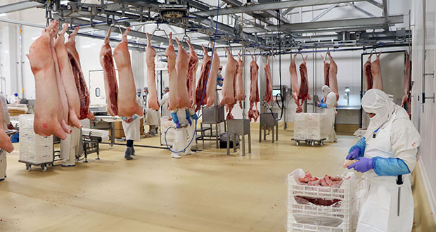 Llaman a Puebla y 8 estados más a exportar carne de cerdo a Japón