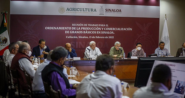 Comité fija bases para comercializar excedentes de maíz y trigo