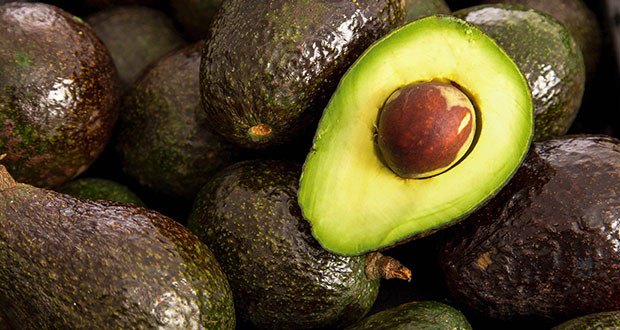 Reconoce Agricultura zonas libres de plaga a 8 municipios aguacateros