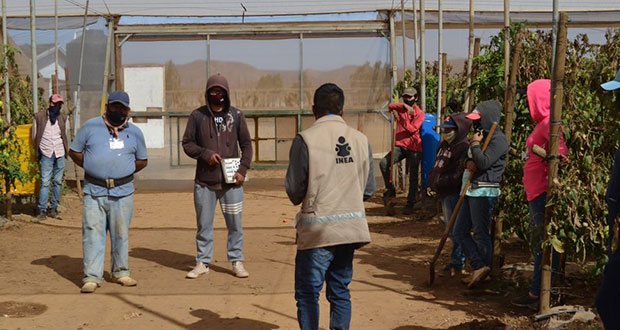 Jornaleros de Puebla podrán acceder a alfabetización del INEA