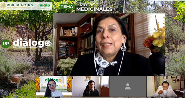 México, 2° país en registro de plantas medicinales; sólo 5%, estudiadas