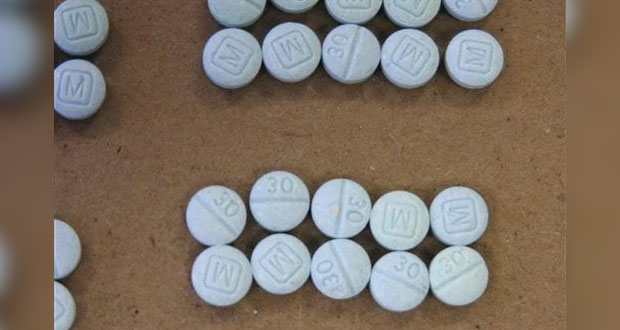 ¡Histórico! Sedena recupera 542 kilos de fentanilo en Sinaloa