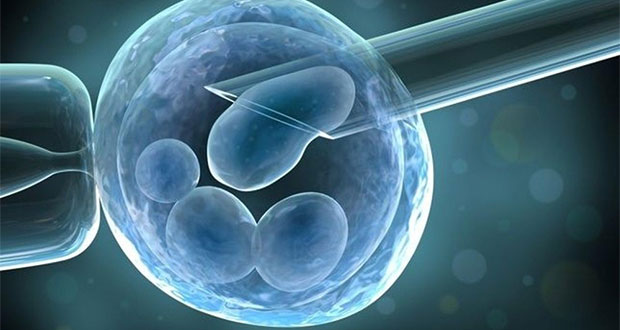 Trasplante de células madre habrían ayudado a mujer a vencer el VIH