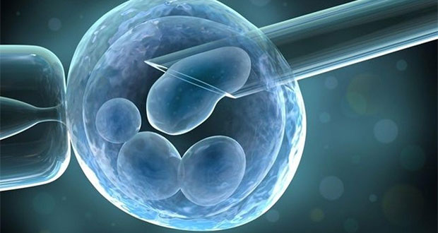 Trasplante de células madre habrían ayudado a mujer a vencer el VIH 