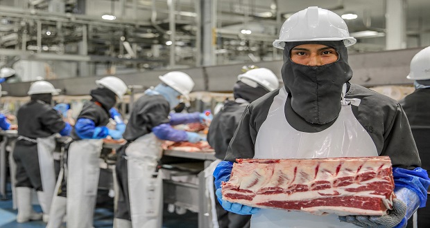 Balanza comercial agroalimentaria, con superávit de 7.1 mmdp en 2021