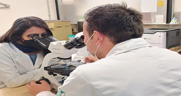 IMSS de Puebla dará jornadas gratuitas y en línea sobre investigación médica