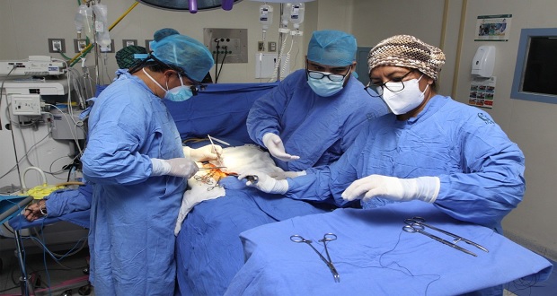 IMSS, institución con más donaciones y trasplantes de órganos anuales