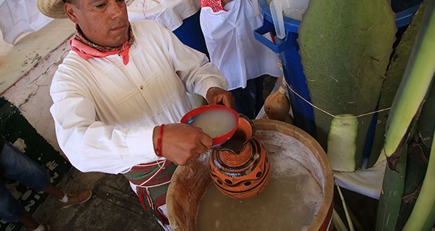 ¿Antojo de pulque? Conoce más de esta bebida prehispánica