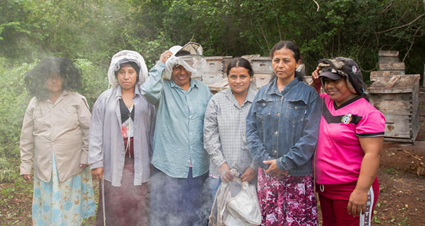 992 mil mujeres trabajan en sector primario en México: Agricultura
