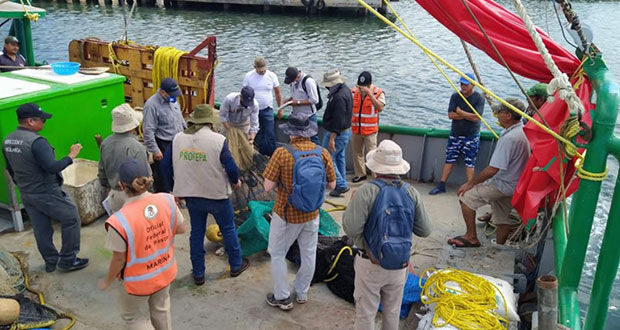 Camarón mexicano mantiene certificado de EU por protección a tortugas