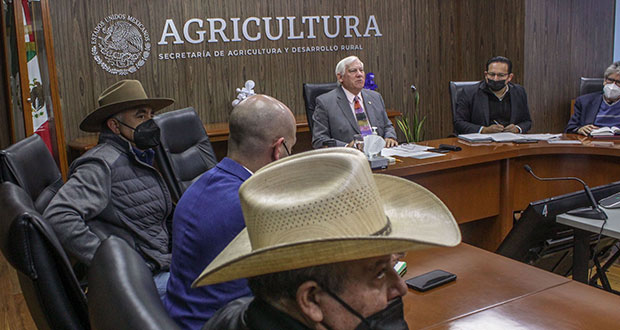 Con apoyo Agricultura, productores de cebada negocian con cerveceras
