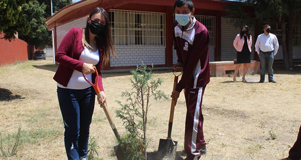 DIF de San Pedro dona más de 60 árboles en Cetis