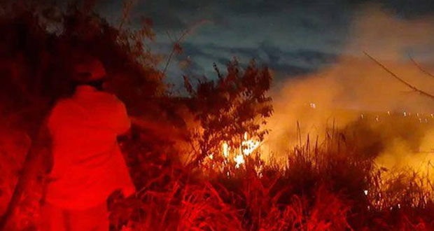 Ejército apoya para controlar incendio forestal en reserva de Tamaulipas