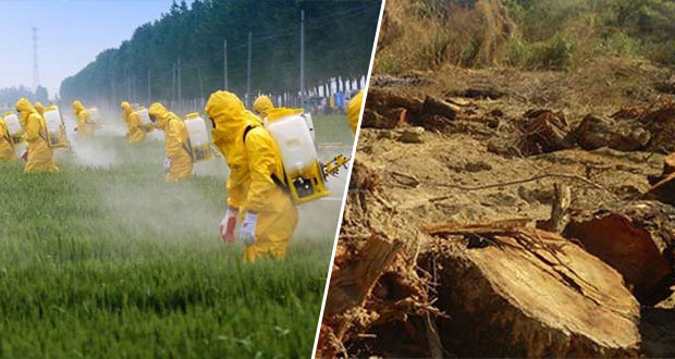 En 30 años, callaron daños ambientales en sur; 4T remediará: Semarnat