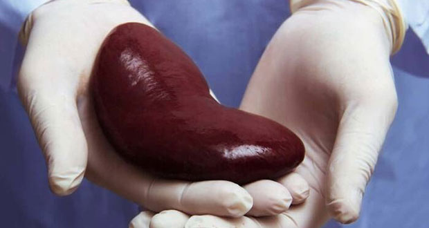 En Puebla, 1,980 pacientes esperan trasplante de órgano; 98%, de riñón