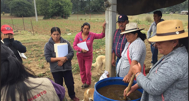 Producción para el Bienestar beneficia a 720 mil mujeres: Sader