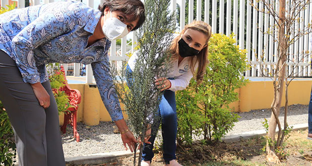 San Pedro Cholula da 100 árboles a Instituto García de Cisneros