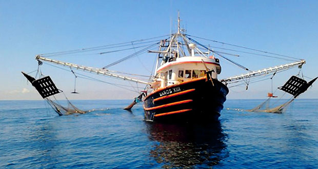 Van por facilitar exportación con certificación de plantas de pesca