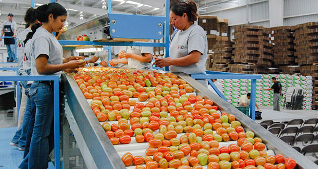En 2022, crece 13% comercio agroalimentario entre México y EU