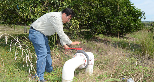 En 2021, reciben 115 mil productores subsidios a tarifas de luz: Sader