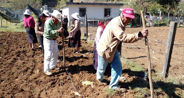 Entregan apoyos federales a 1.7 millones de pequeños agricultores