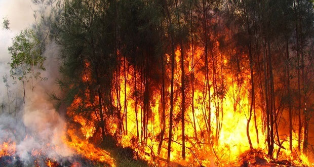 Puebla y gobierno federal fortalecen acciones contra incendios