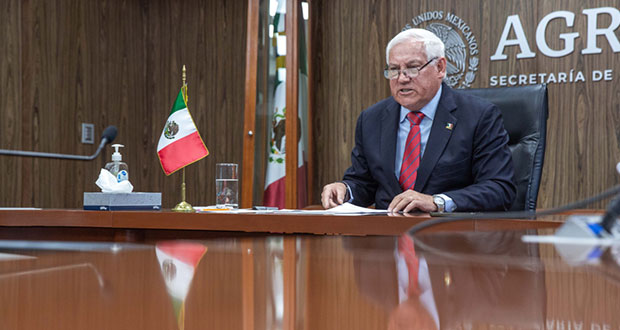 Sader llama a AL a coordinarse mejor en seguridad alimentaria