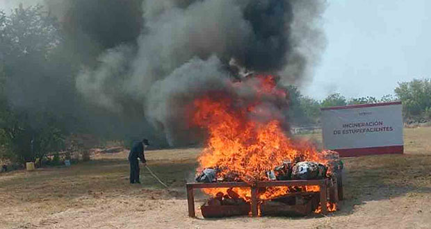 Semar y FGR incineran más de 716 kilos de cocaína en Chiapas