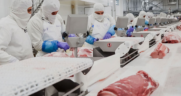 Comercio agroalimentario, con superávit de 2.8 mil mdd en trimestre