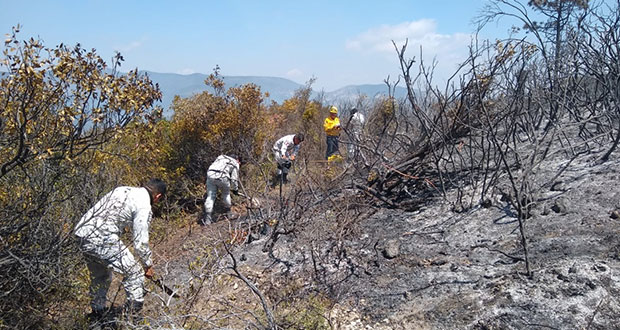 Guardia Nacional activa plan GN-A contra incendio en Nuevo León