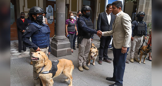 Jubilan a 16 lomitos de la Unidad Canina de la SSC; fueron dados en adopción
