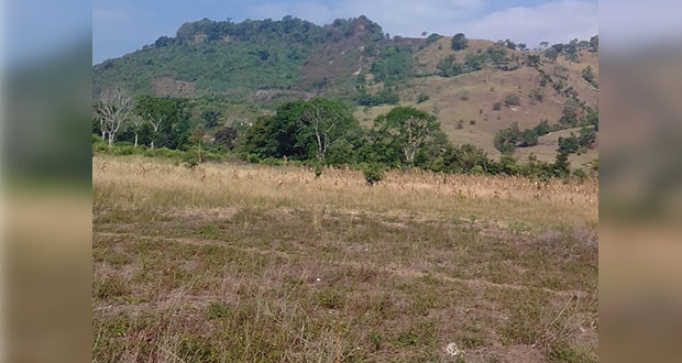Denuncian fraude con reventa de predios en Sierra Norte de Puebla
