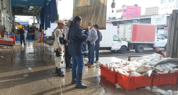 En CDMX, GN asegura 800 kilos de carne de tiburón durante veda