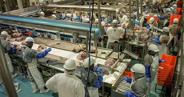 Hasta agosto, suben 15% ventas agroalimentarias de México: Agricultura