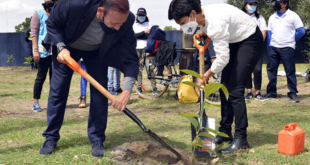Lilia Cedillo encabeza jornada simultánea de reforestación